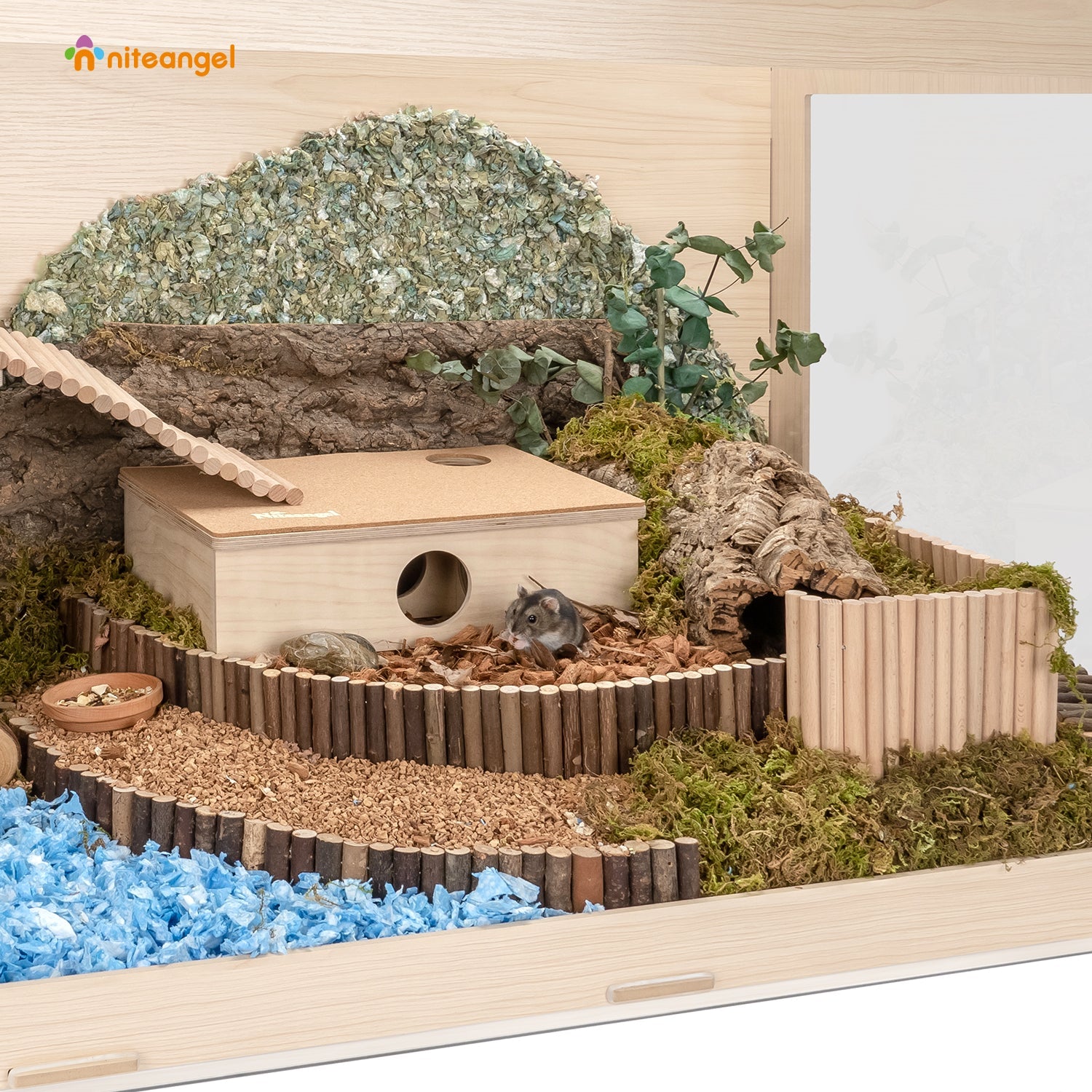 Bigger World MDF Terrarium Aspen Poplar Wooden Enclosure for Syrian and Dwarf Hamsters