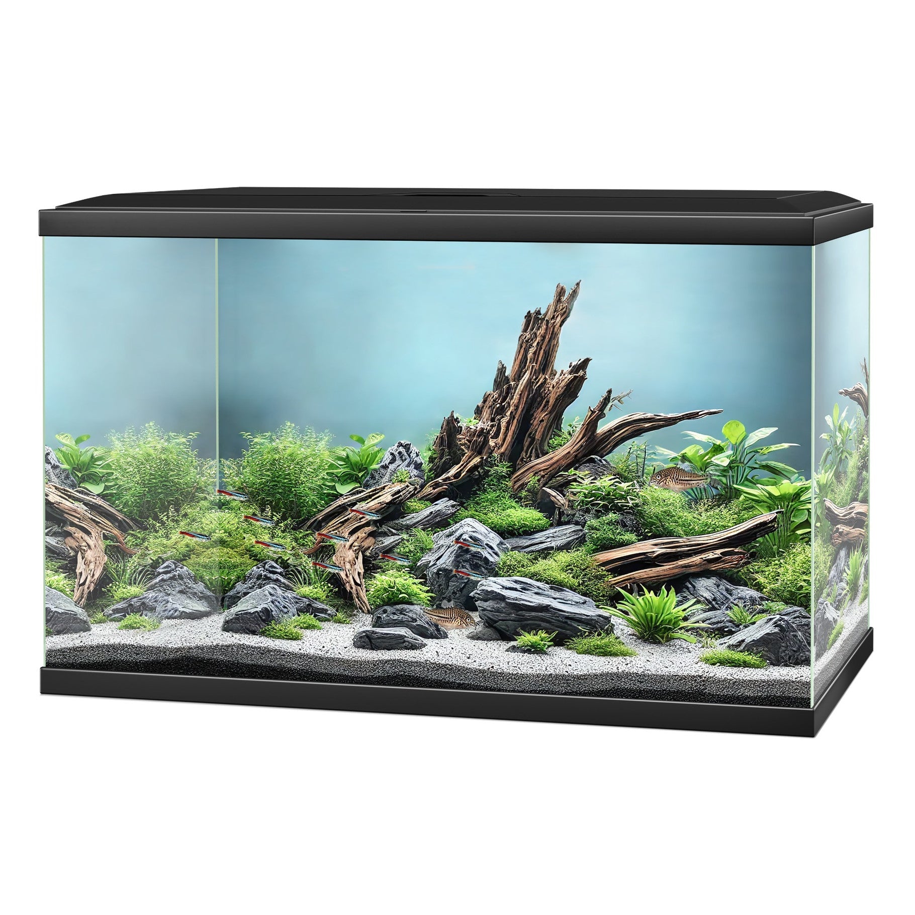 Aqua 60 Pro Aquarium