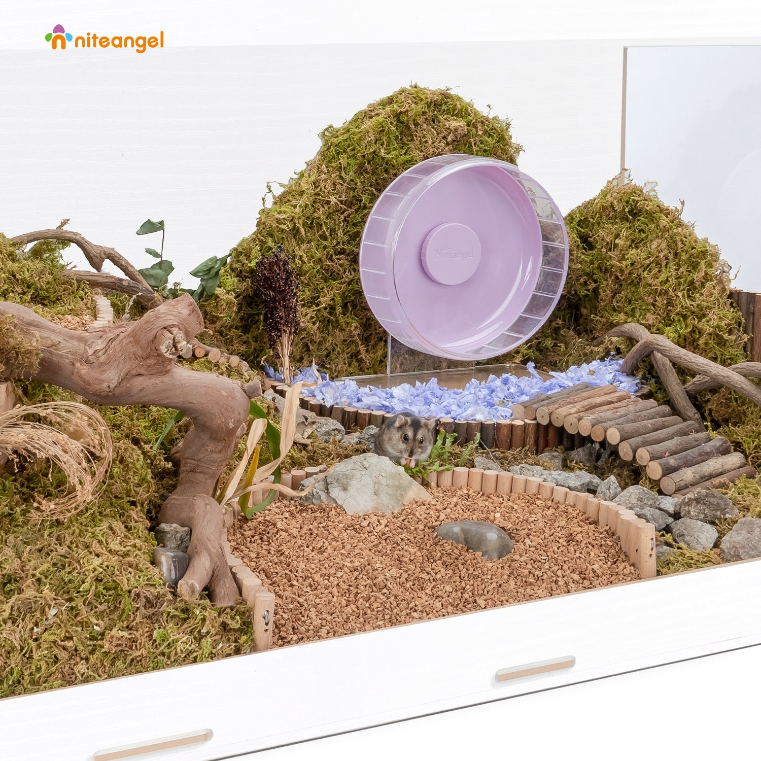 Bigger World MDF Terrarium Aspen Poplar Wooden Enclosure for Syrian and Dwarf Hamsters