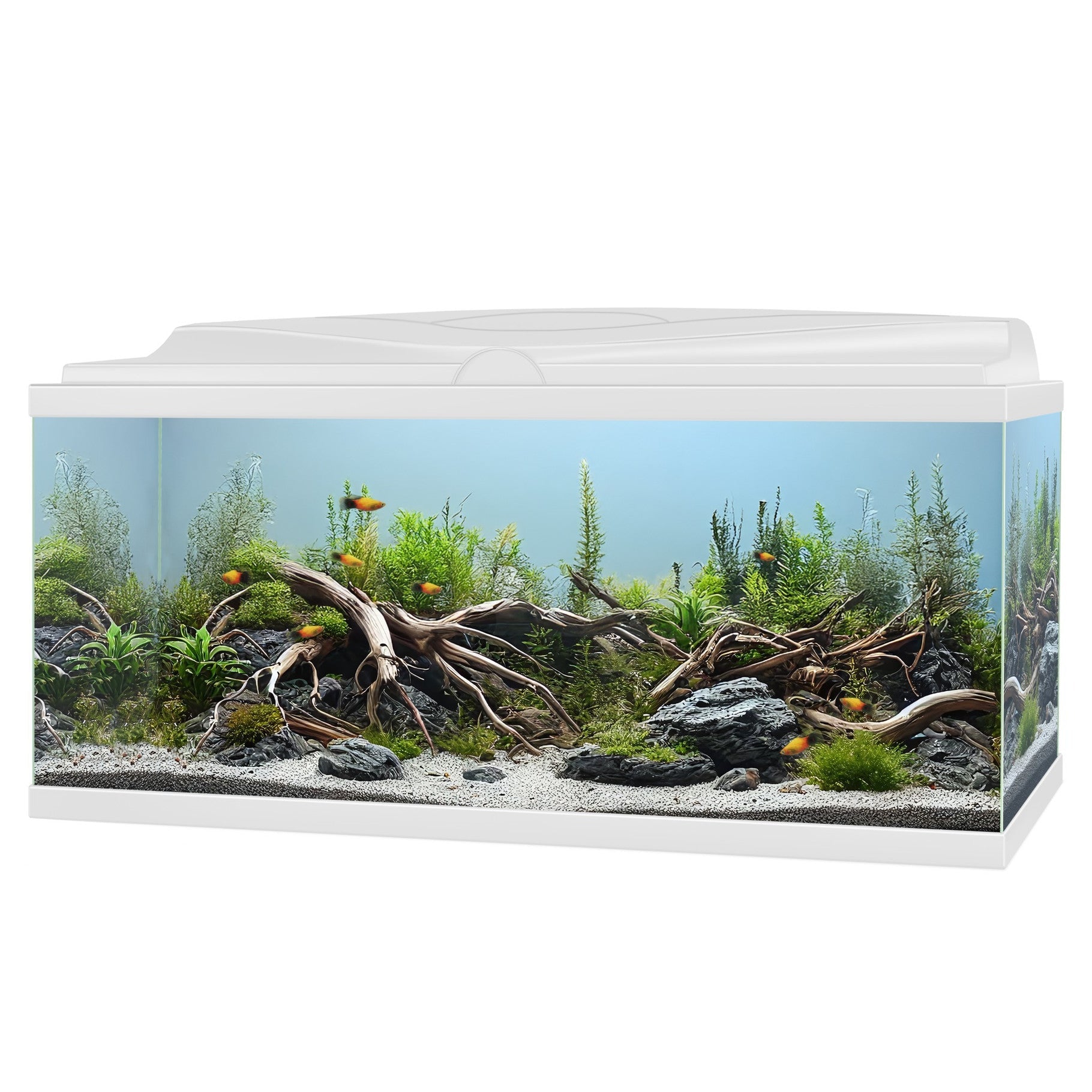 Aqua 85 LED Aquarium