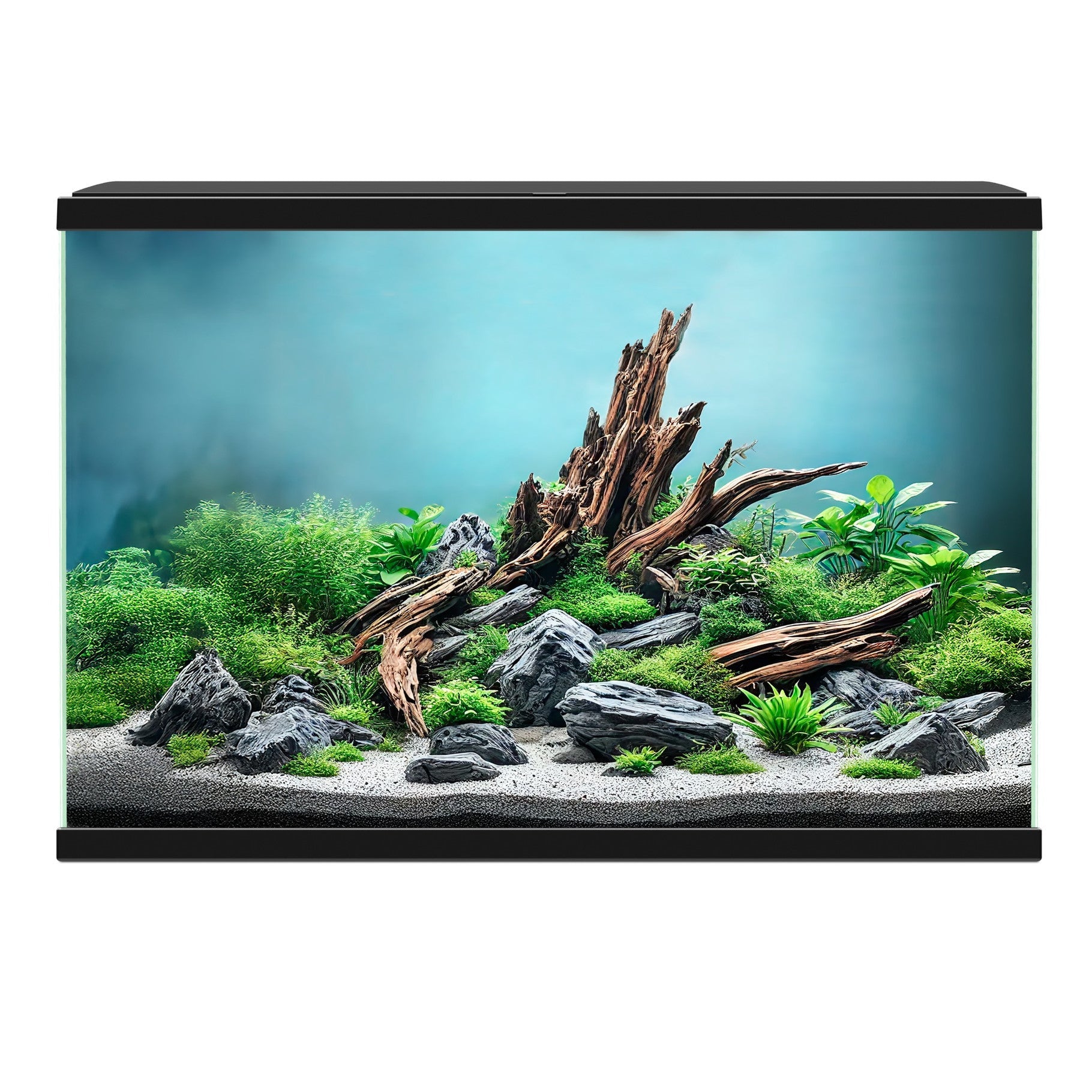 Aqua 60 Pro Aquarium