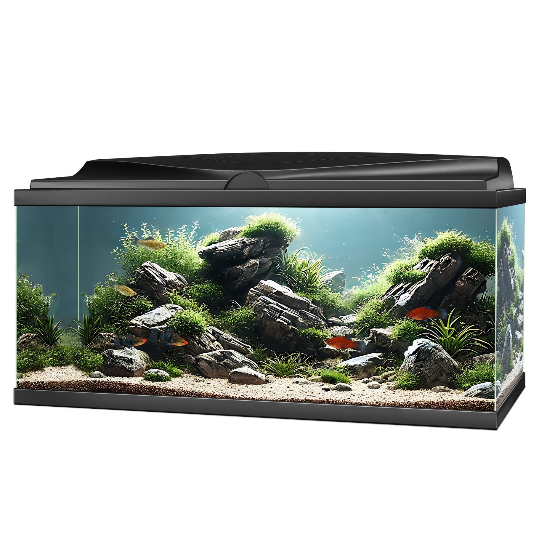 Aqua 85 LED Aquarium 76L with CBIO Filter
