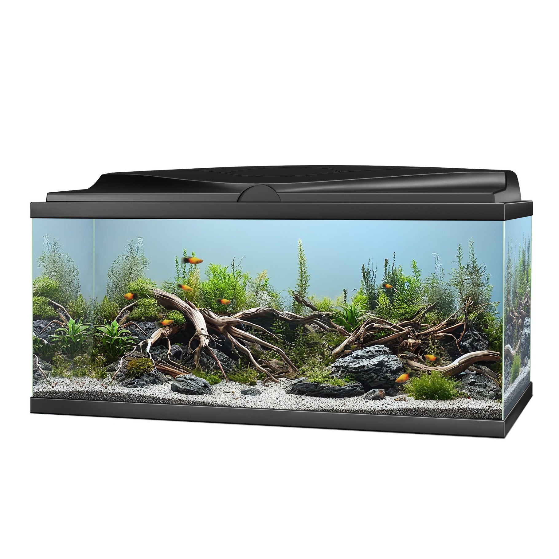 Aqua 85 LED Aquarium