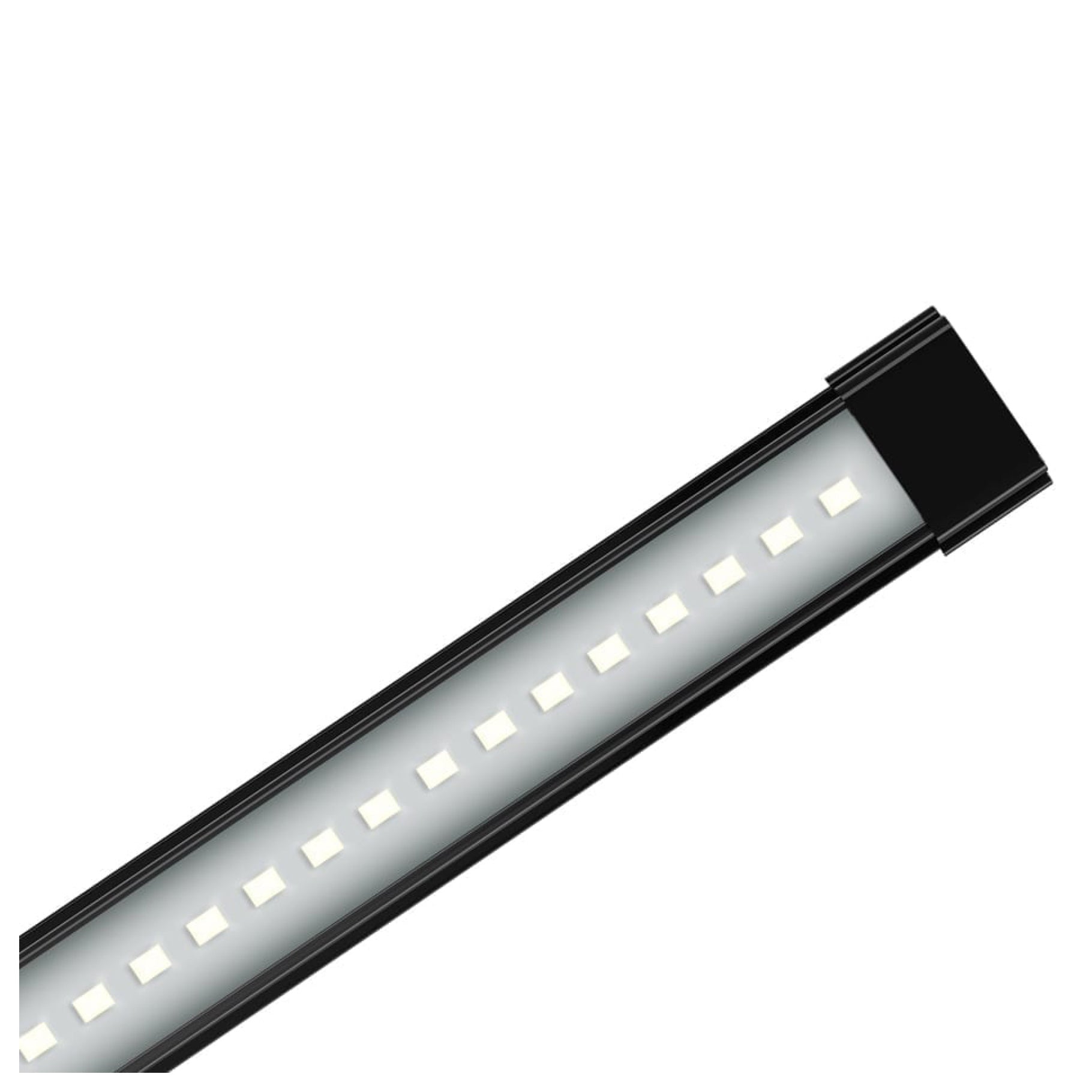 Aqua 60 Aquarium - with CBIO 150 Filter