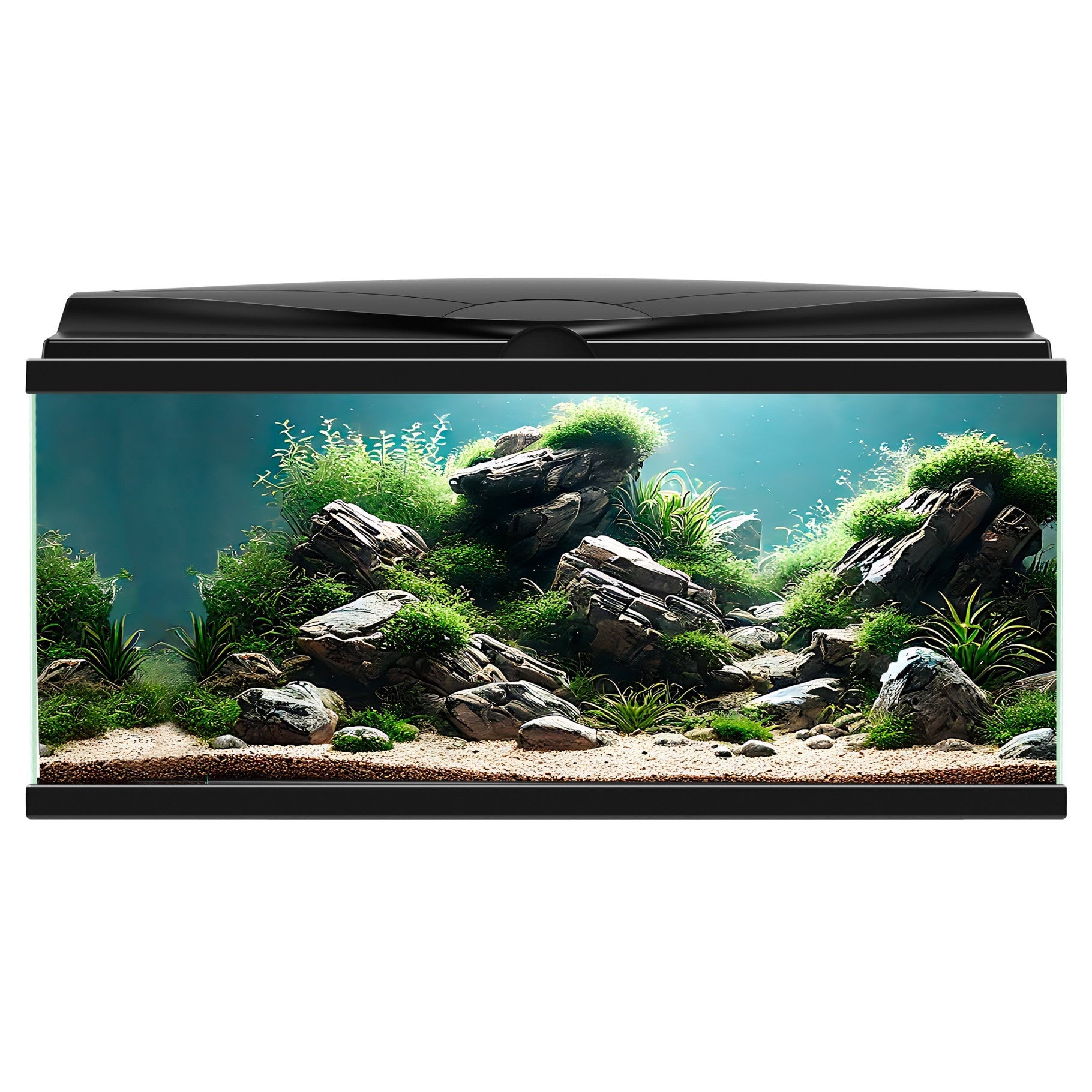 Aqua 85 LED Aquarium