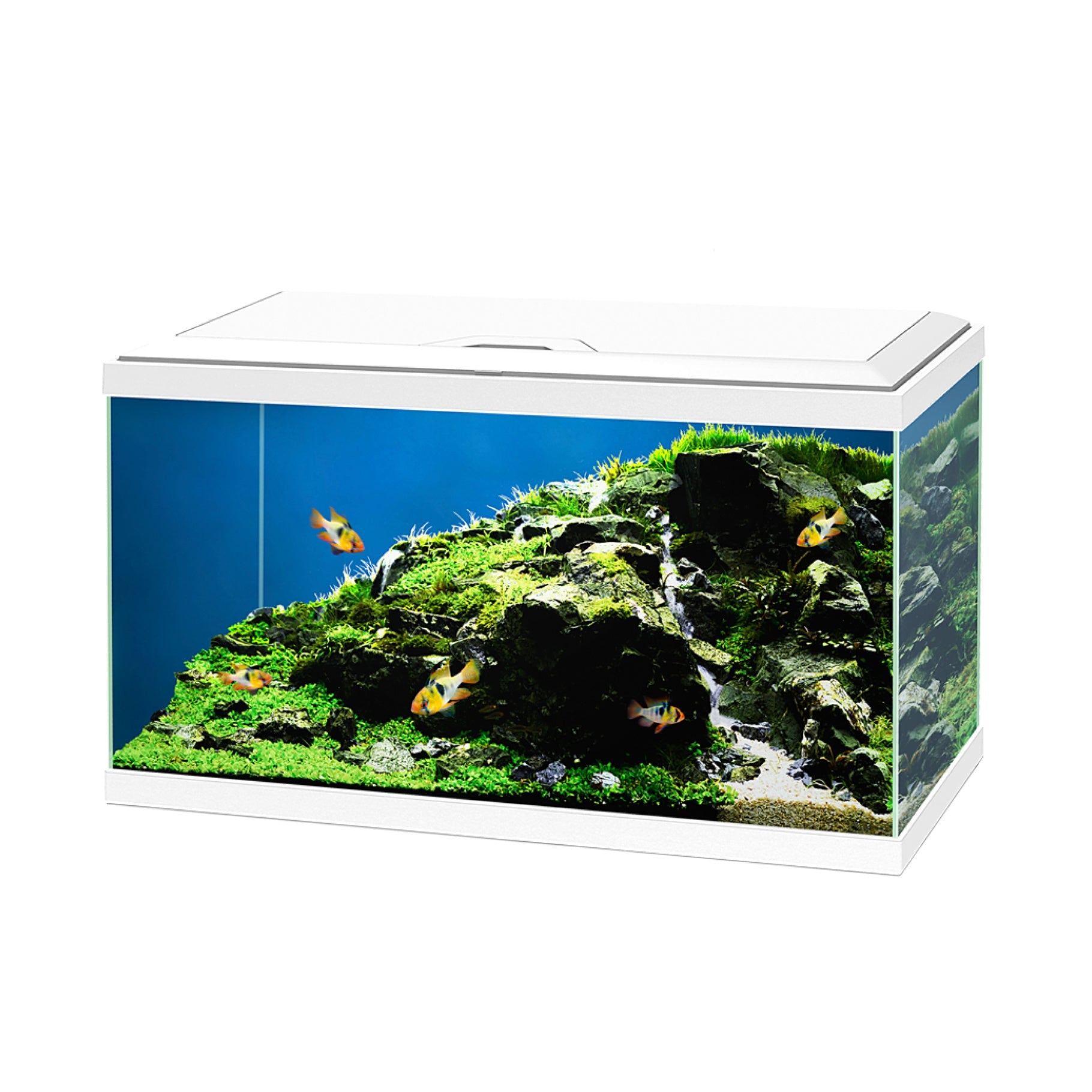 Aqua 60 Aquarium - with CBIO 150 Filter